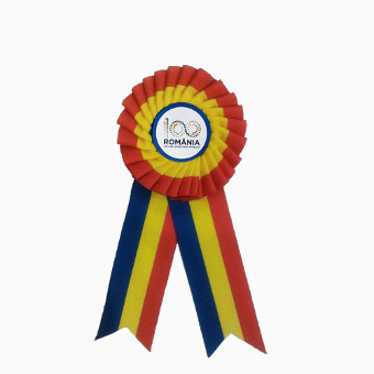 cocarda tricolora steaguri oradea