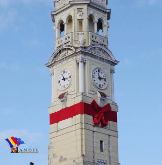 Poza portofoliu 14