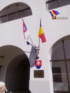 Poza portofoliu 15